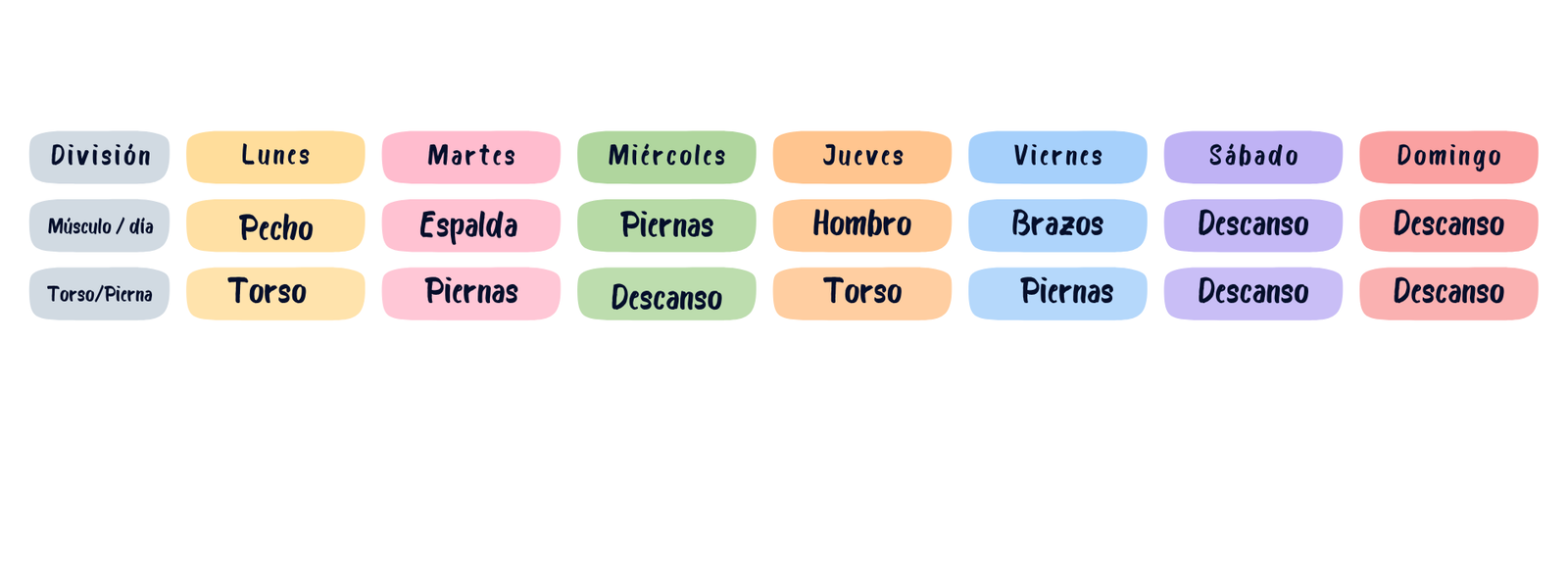 C mo dividir los grupos musculares